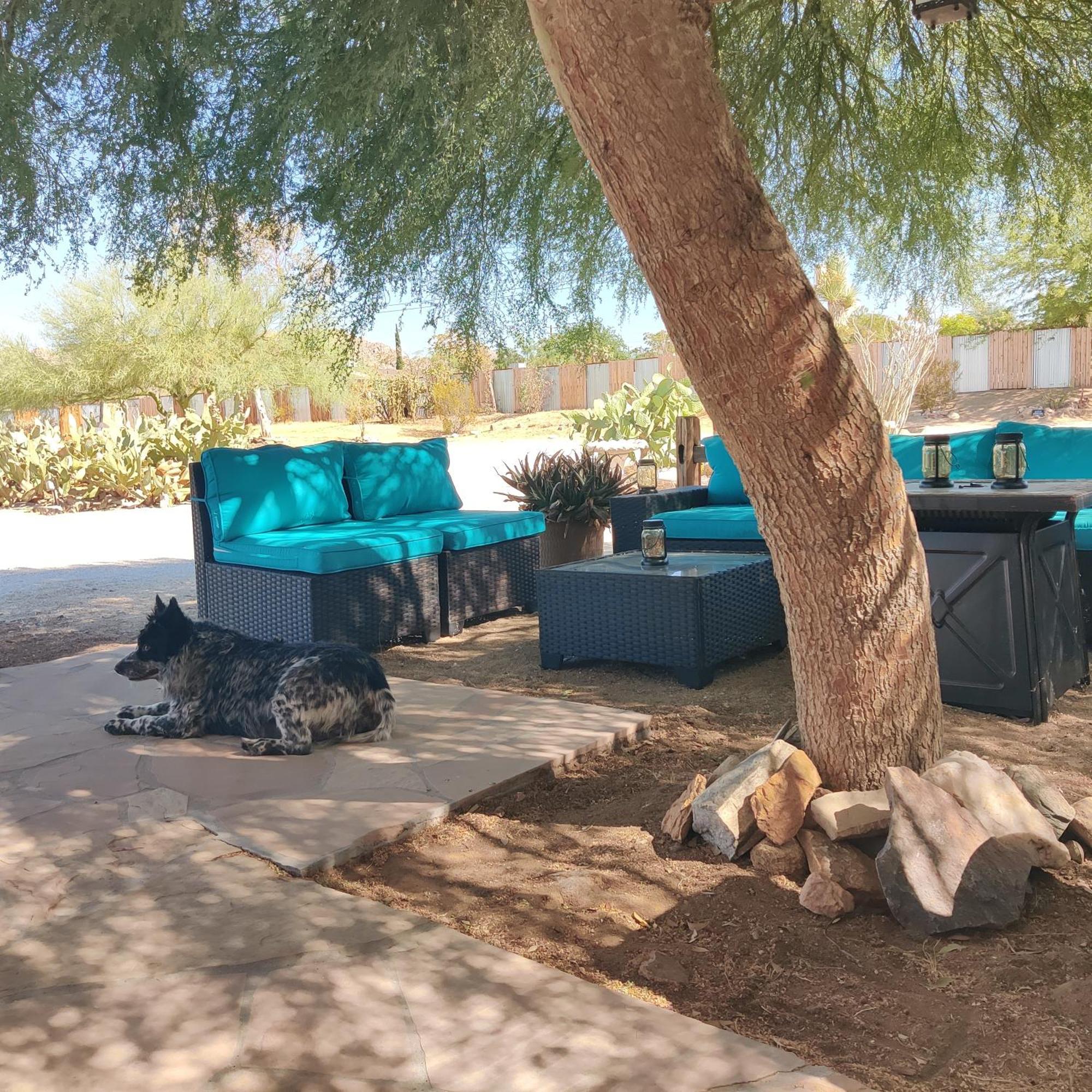 Joshua Tree Ranch House Motel - Downtown - Room #8 Exteriör bild